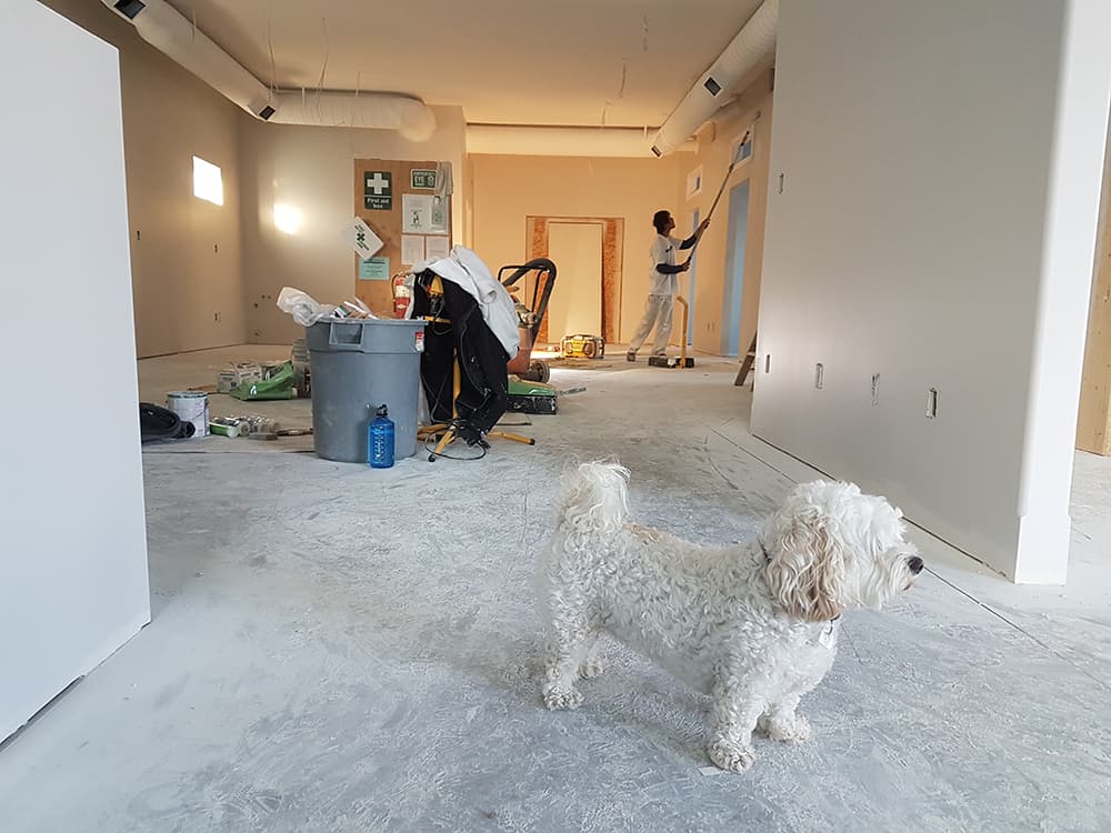 Interior Design and Property Staging Fleming